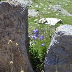 2015-07 Savoie/Orgère/DSC_0286.JPG